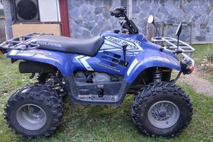 Quad polaris 330 2004