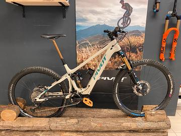 Pivot Shuttle AM 2024