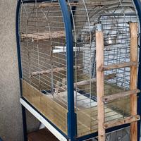 gabbia per pappagalli