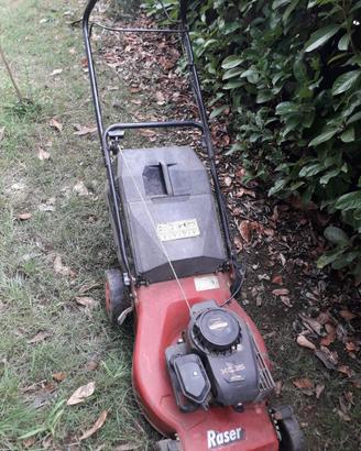Tagliaerba Briggs & Stratton
