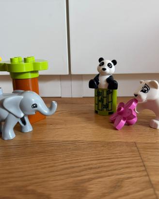 Animali Duplo