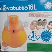 incubatrice 16 uova