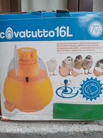 incubatrice 16 uova