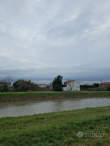 Rustico con terreno