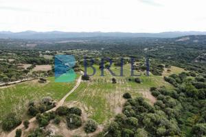 Terreno agricolo a Telti