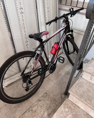 Bici lombardo