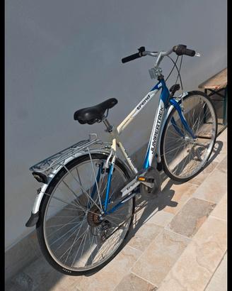 biciclette 