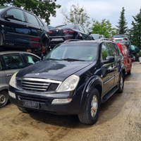 Ricambi ssangyong rexton e kyron