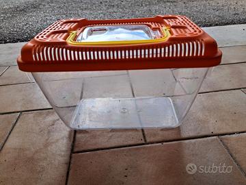 Vaschetta pesci rossi