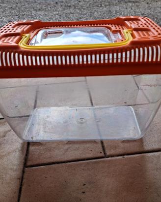 Vaschetta pesci rossi