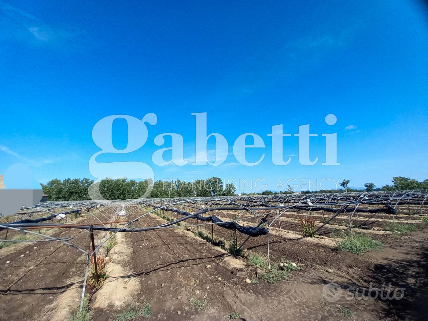 Terreno Residenziale San Marcellino - Vista 2