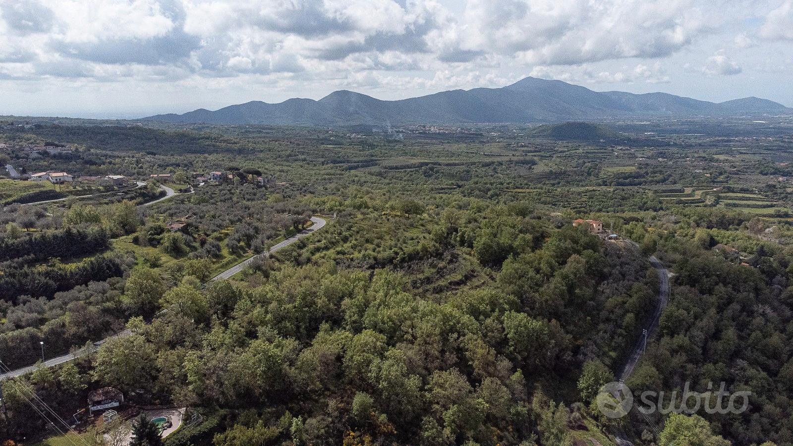 Terreno agricolo a Roccamorfina (CE) - Vista 5