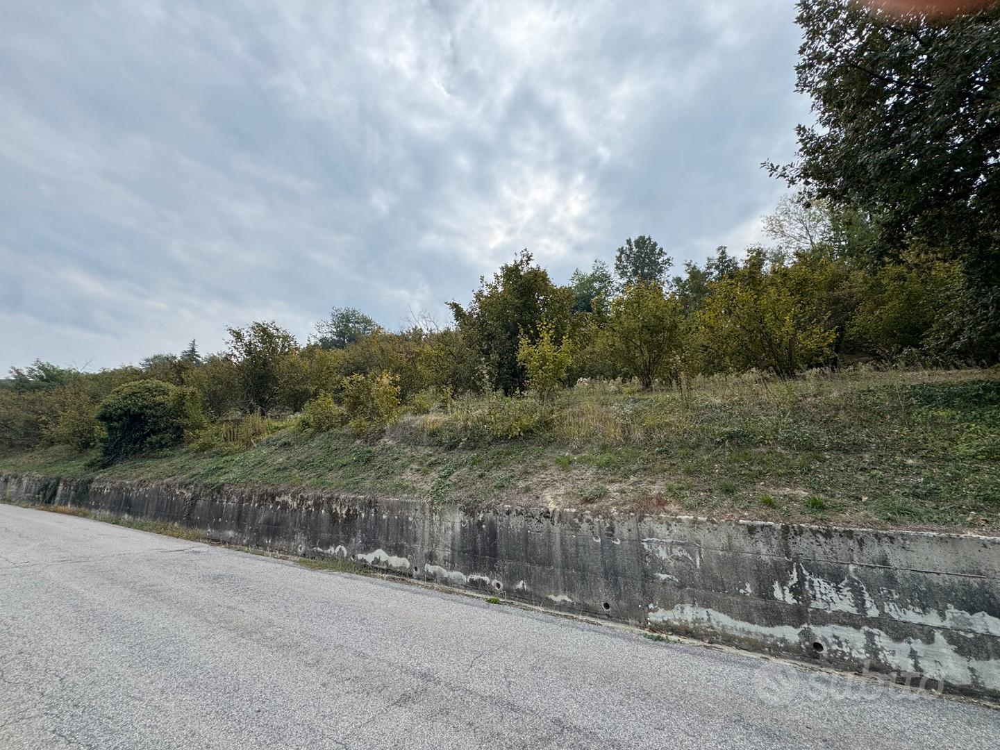 Terreno Agricolo 15000mq - Vista 4