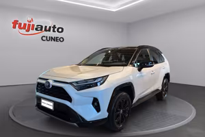 Toyota Rav4 2.5 vvt-ie h Style awd-i 222cv e-cvt