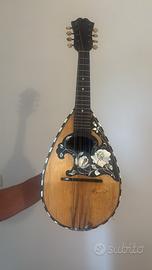Mandolino antico Luigi Molinari