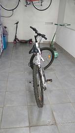 Bicicletta da ragazza 24"