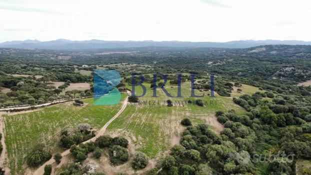 Terreno agricolo a Telti