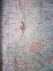 Sughereto di 36 ettari