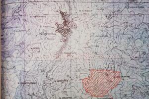 Sughereto di 36 ettari