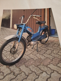 Vendita califfo 50 cc