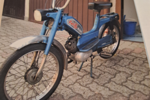 Vendita califfo 50 cc