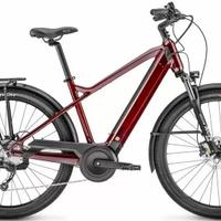 Bici pedalata assistita trekking