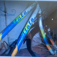 mountain bike raggio 26