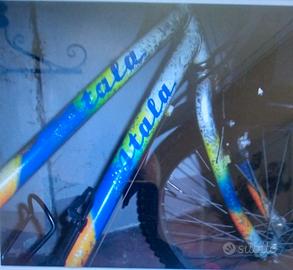 mountain bike raggio 26