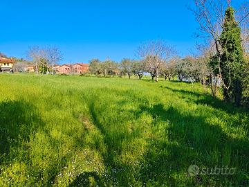 Terreno agricolo ed edificabile