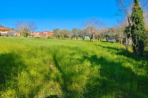 Terreno agricolo ed edificabile