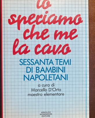 Libro”Io speriamo che me la cavo”