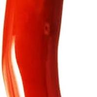 Cornetto portafortuna in corallo rosso e argento