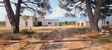 Agrumeto massafra