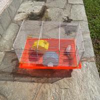 Gabbia per criceto con accessori inclusi