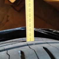 Gomme estive 