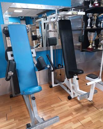 TECHNOGYM  PECTORAL E DELT