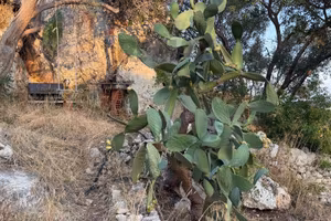 Terreno - Siracusa