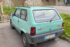 Fiat panda young