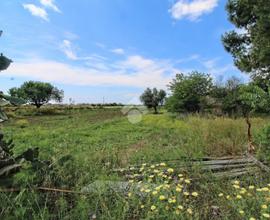 TER. AGRICOLO A ISOLA DI CAPO RIZZUTO