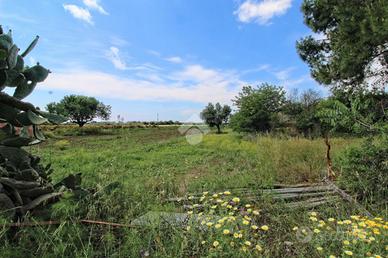 TER. AGRICOLO A ISOLA DI CAPO RIZZUTO