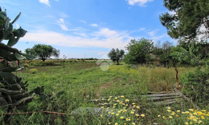 TER. AGRICOLO A ISOLA DI CAPO RIZZUTO
