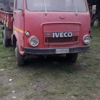 Iveco om leoncino