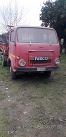 Iveco om leoncino