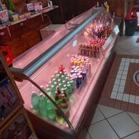 Banco Frigo per attività commerciale