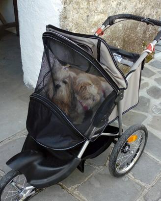 Passeggino cani