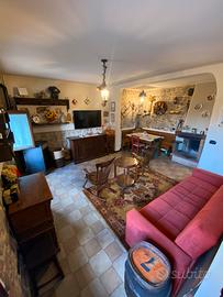 Terra Tetto come Nuovo