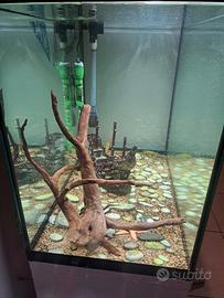 aquario askoll 130 litri