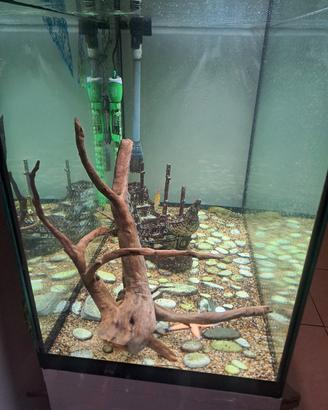 aquario askoll 130 litri