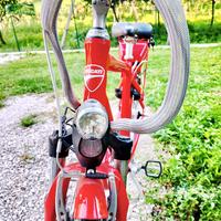 Itallwin Ducati City King