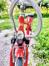 Itallwin Ducati City King